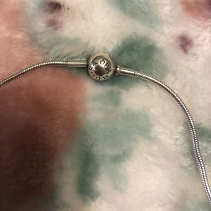 Pandora charm necklace